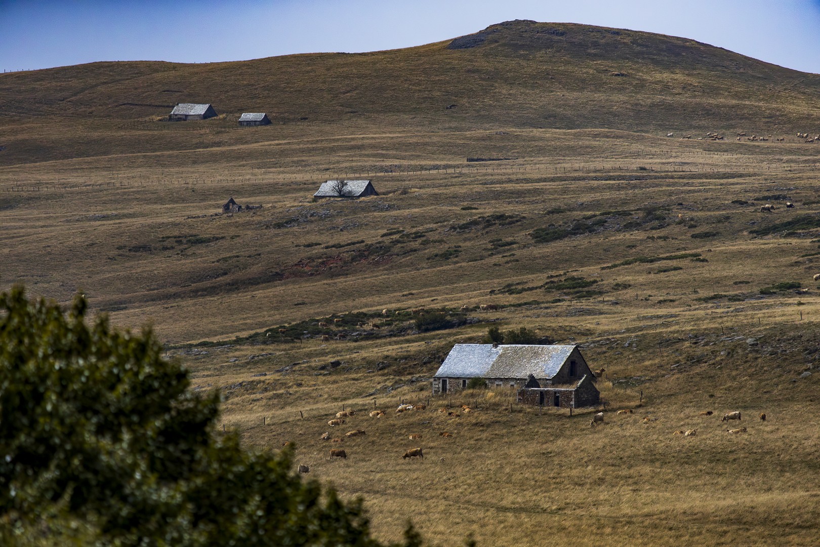 Journee integration 2lgt 2023 80 