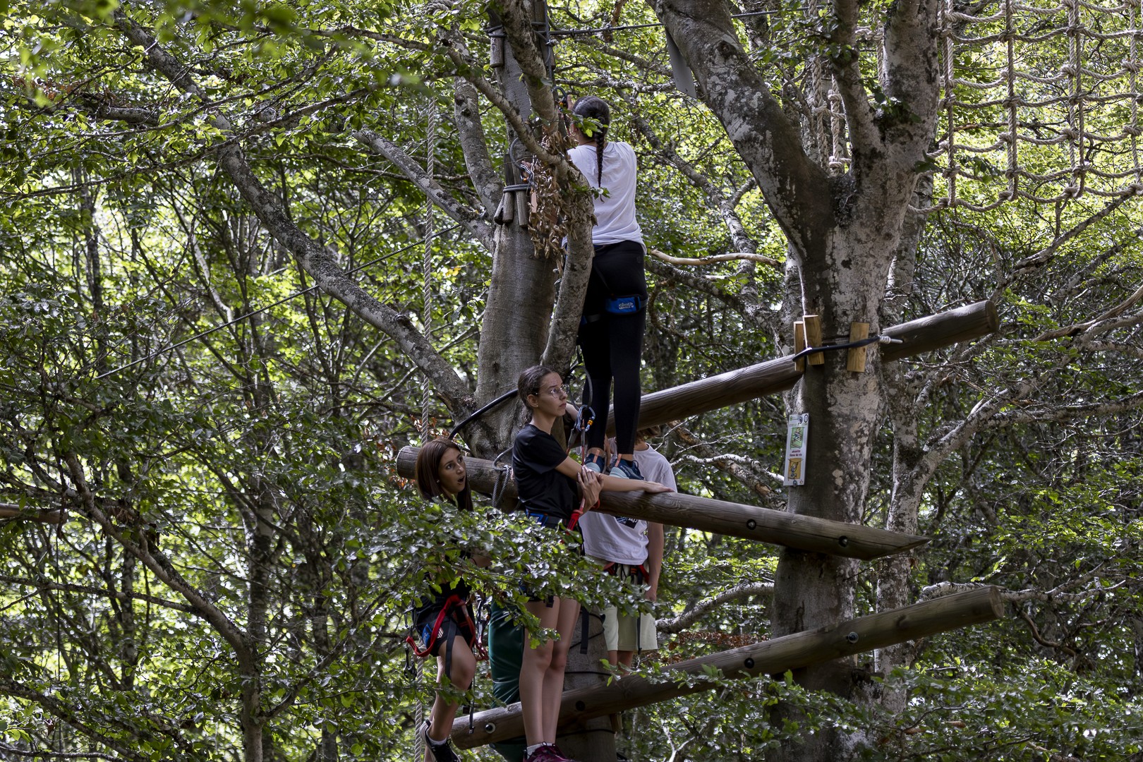 Journee integration 2lgt 2023 96 