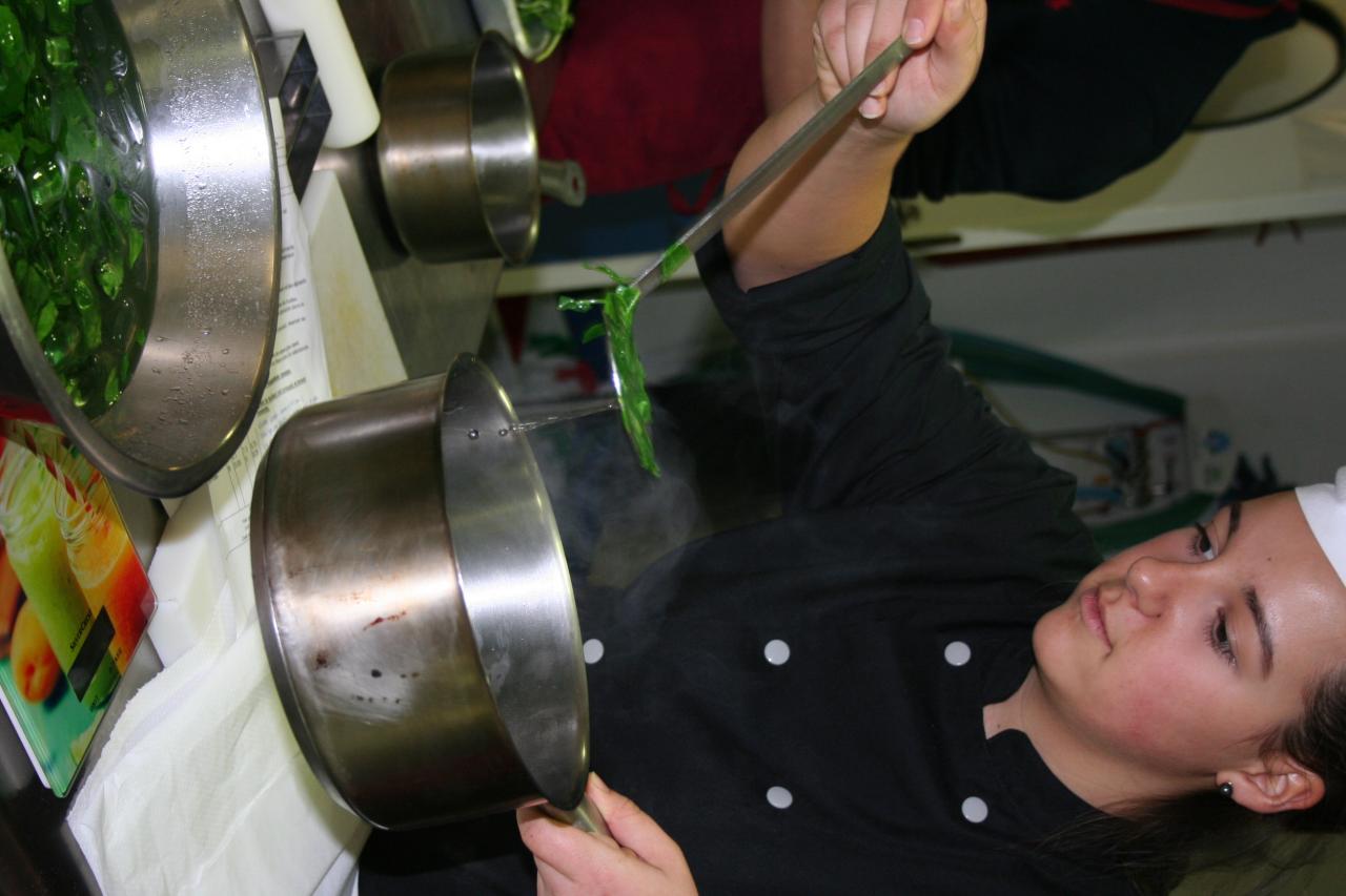 PROJET AQUAPONIE (101)