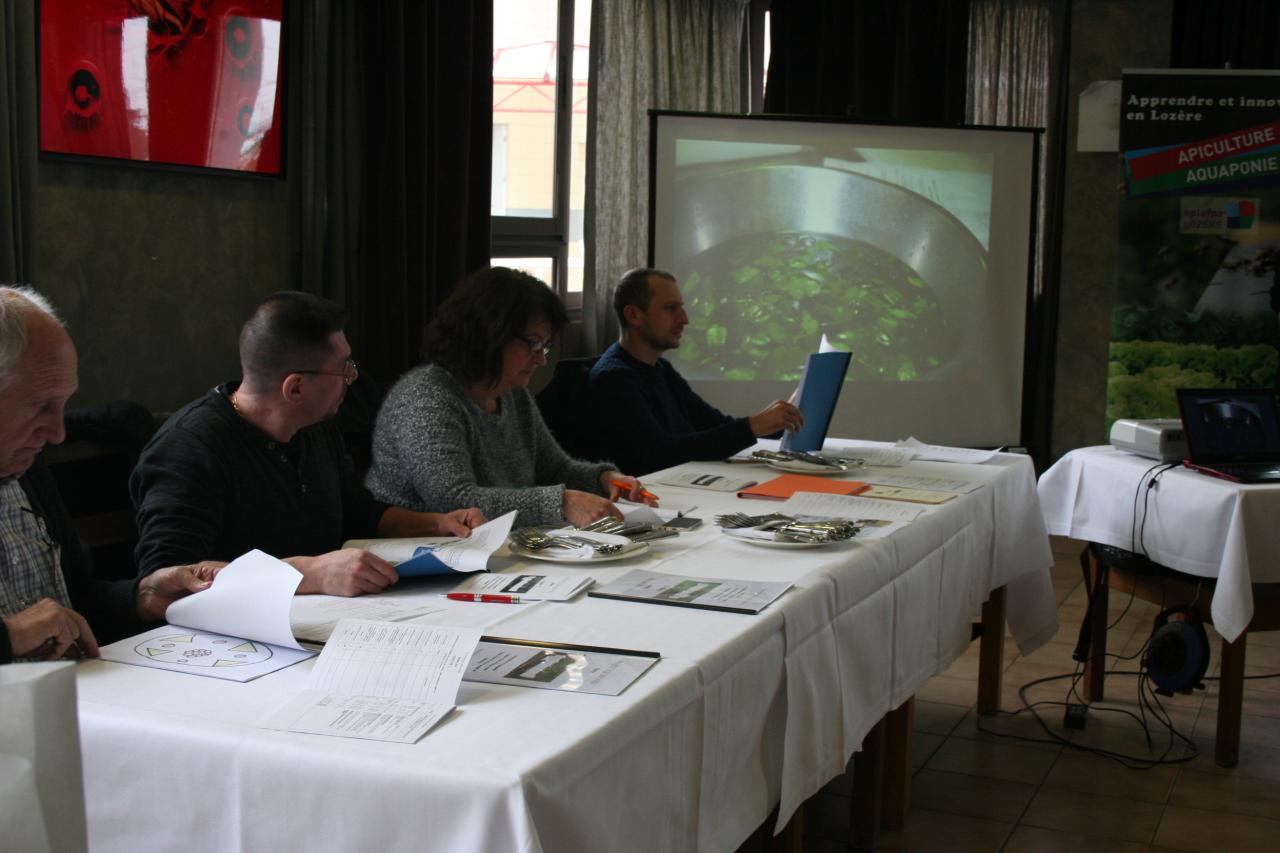 PROJET AQUAPONIE (112)