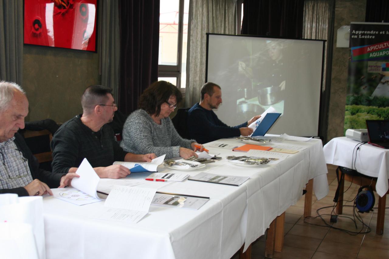 PROJET AQUAPONIE (113)