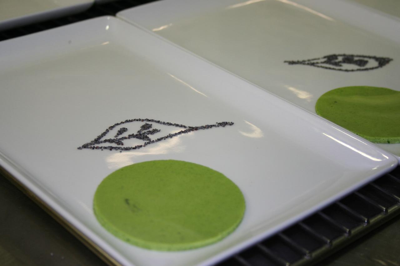 PROJET AQUAPONIE (116)