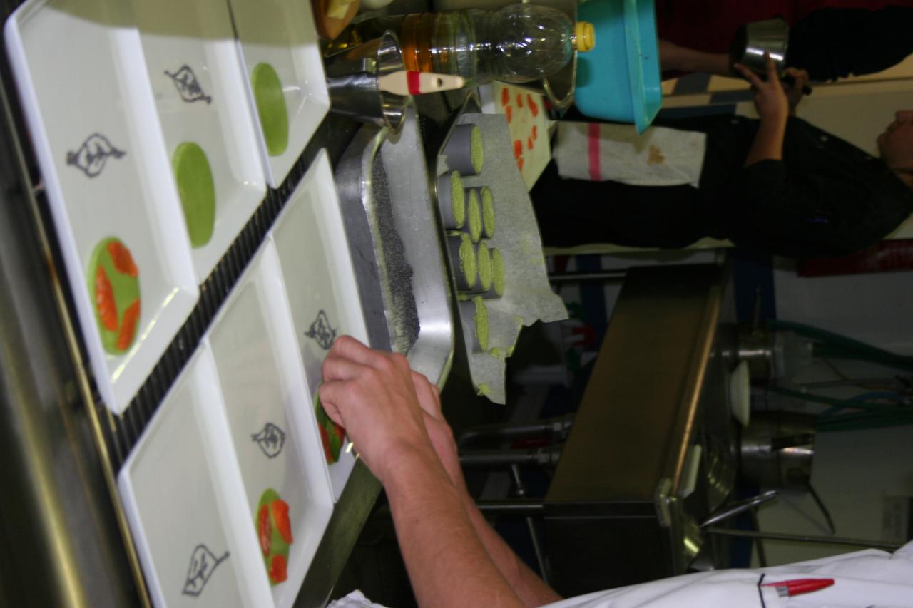 PROJET AQUAPONIE (121)