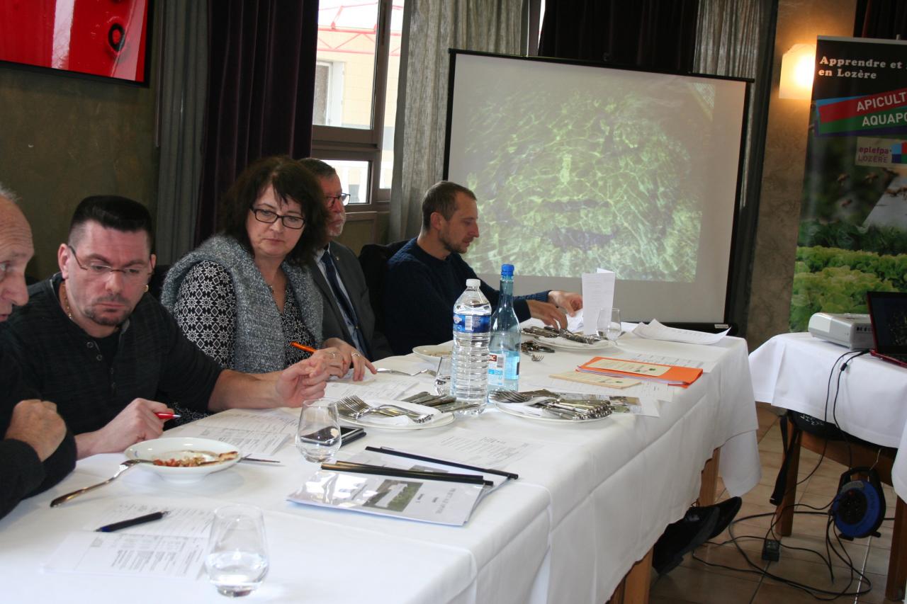 PROJET AQUAPONIE (127)