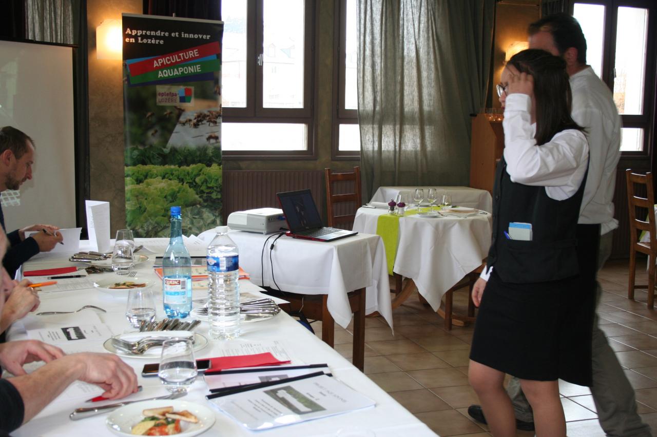 PROJET AQUAPONIE (131)