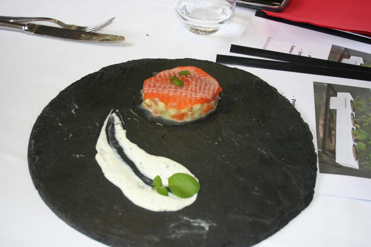 PROJET AQUAPONIE (135)