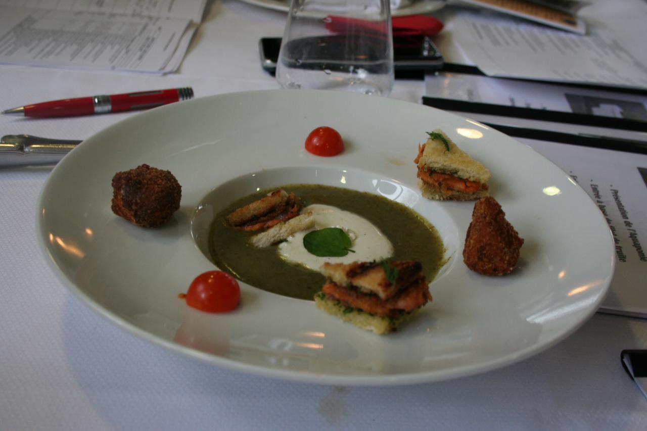 PROJET AQUAPONIE (154)