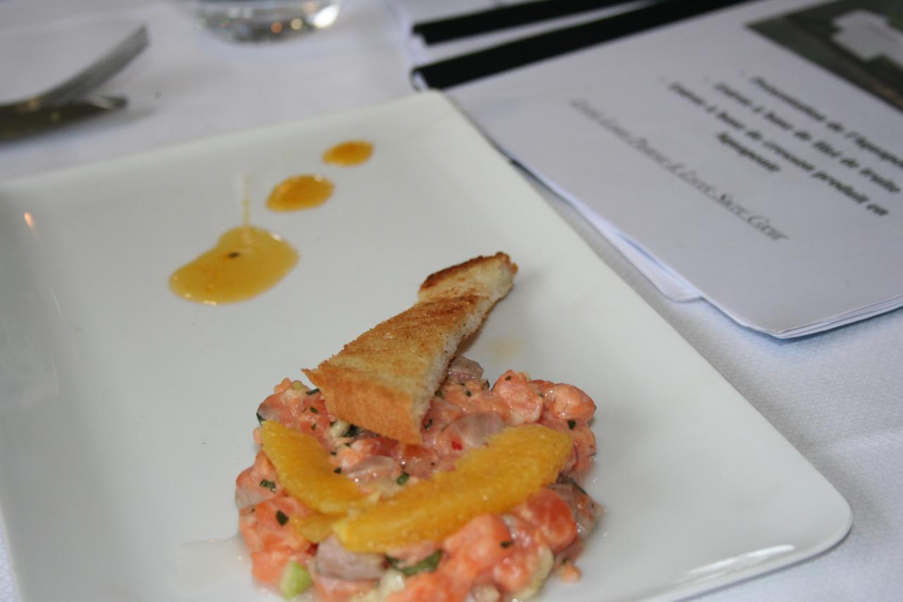 PROJET AQUAPONIE (45)