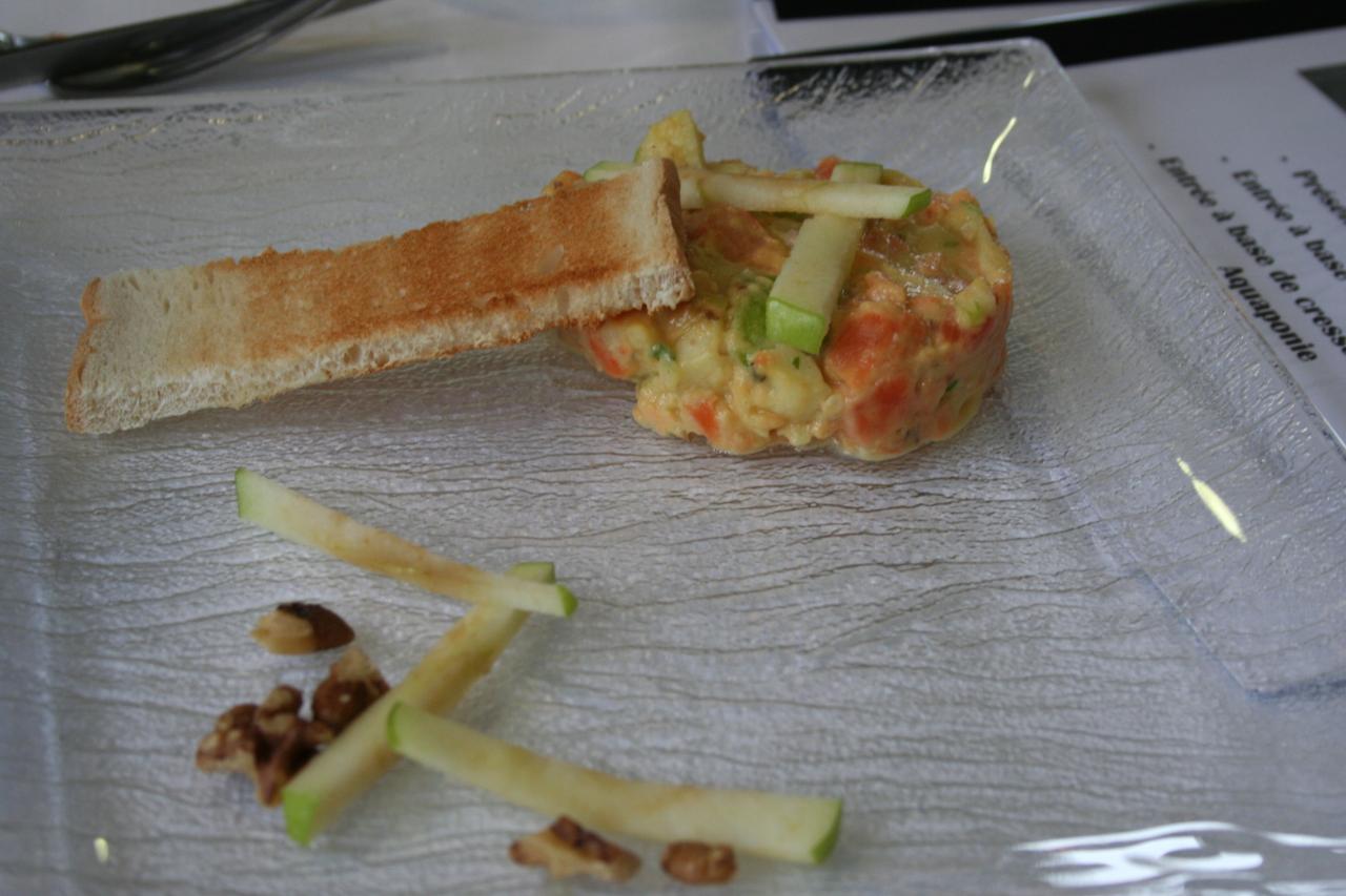 PROJET AQUAPONIE (46)